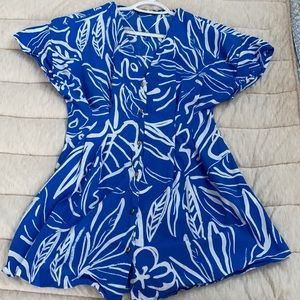 Blue Zara Dress